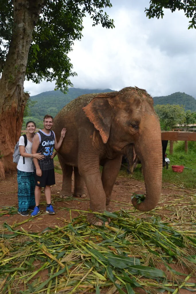 1606047795171 683x1024