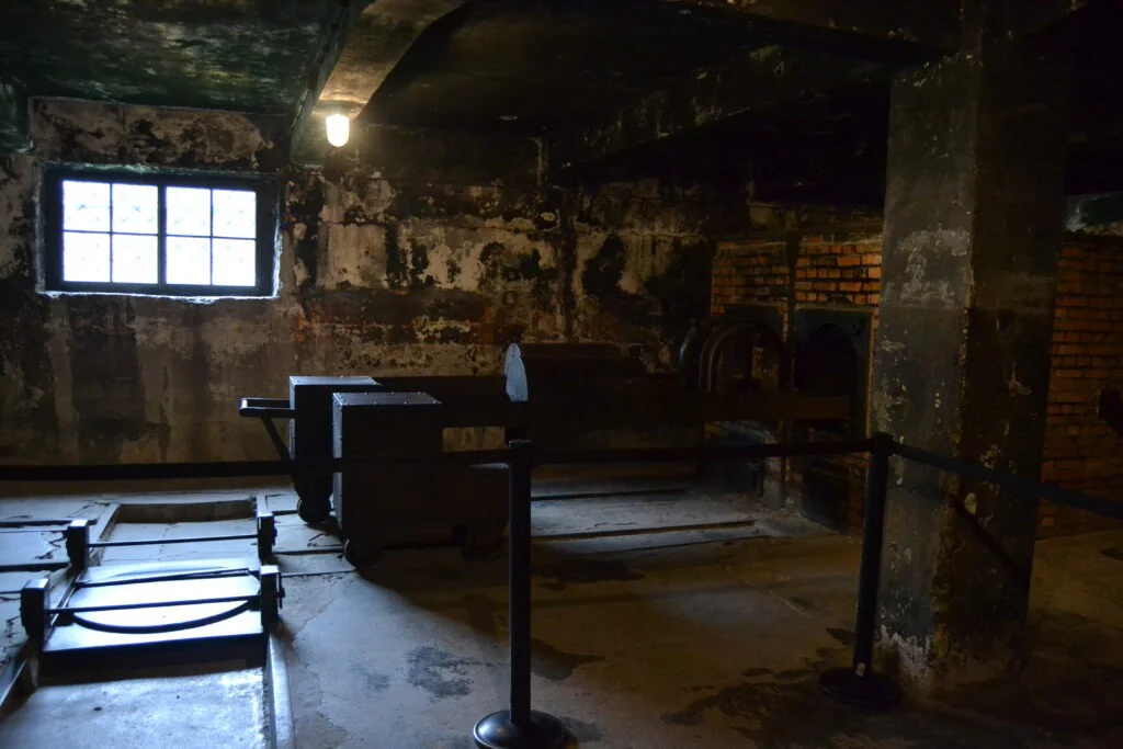 1606512611655 1024x683