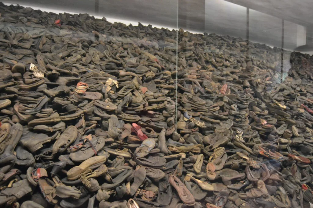 1606512611686 1024x683