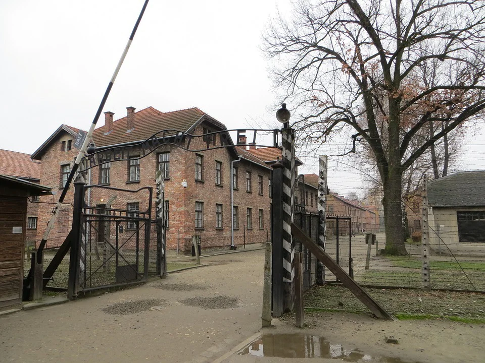 Birkenau 4