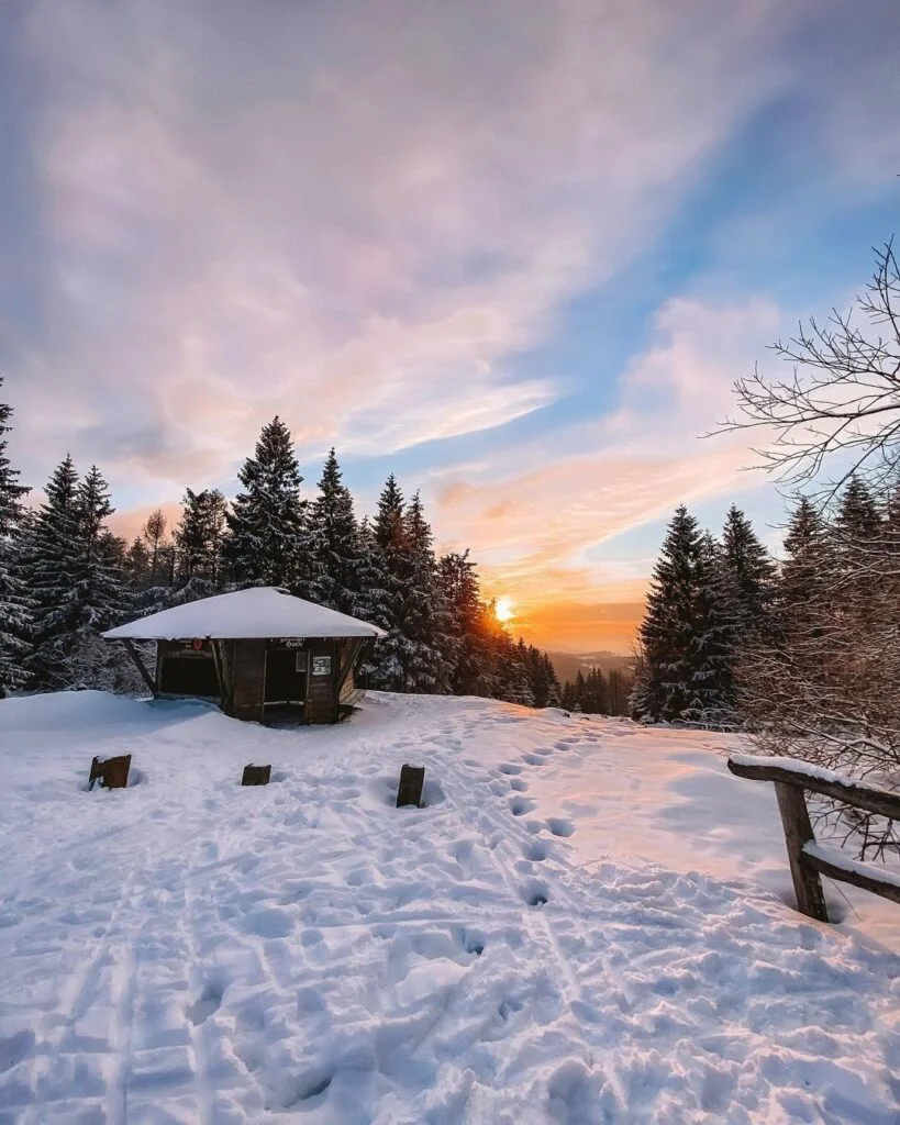 Parque Nacional de Harz: Guía Completa para tu Viaje Natural Cumbre nevada del Brocken