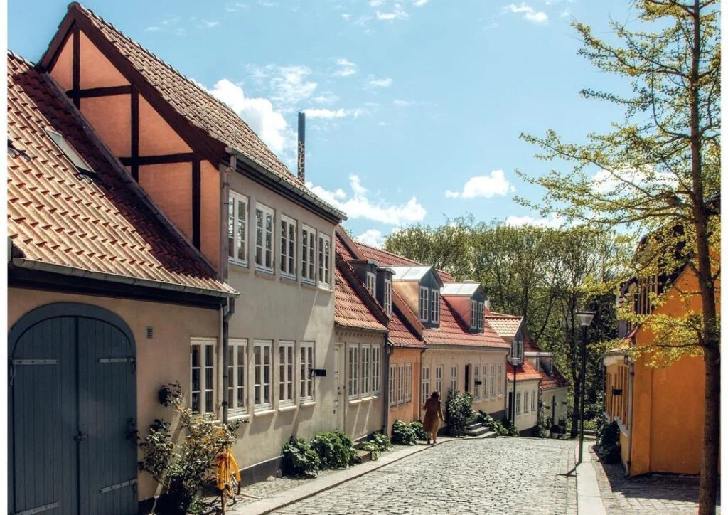 Qué ver en Odense: guía completa de lugares imprescindibles Vestergade, zona comercial y galería bohemia.