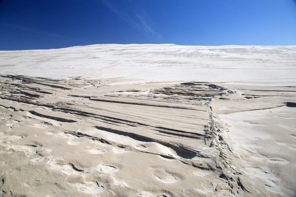Dunas móviles de Råbjerg Mile en Dinamarca