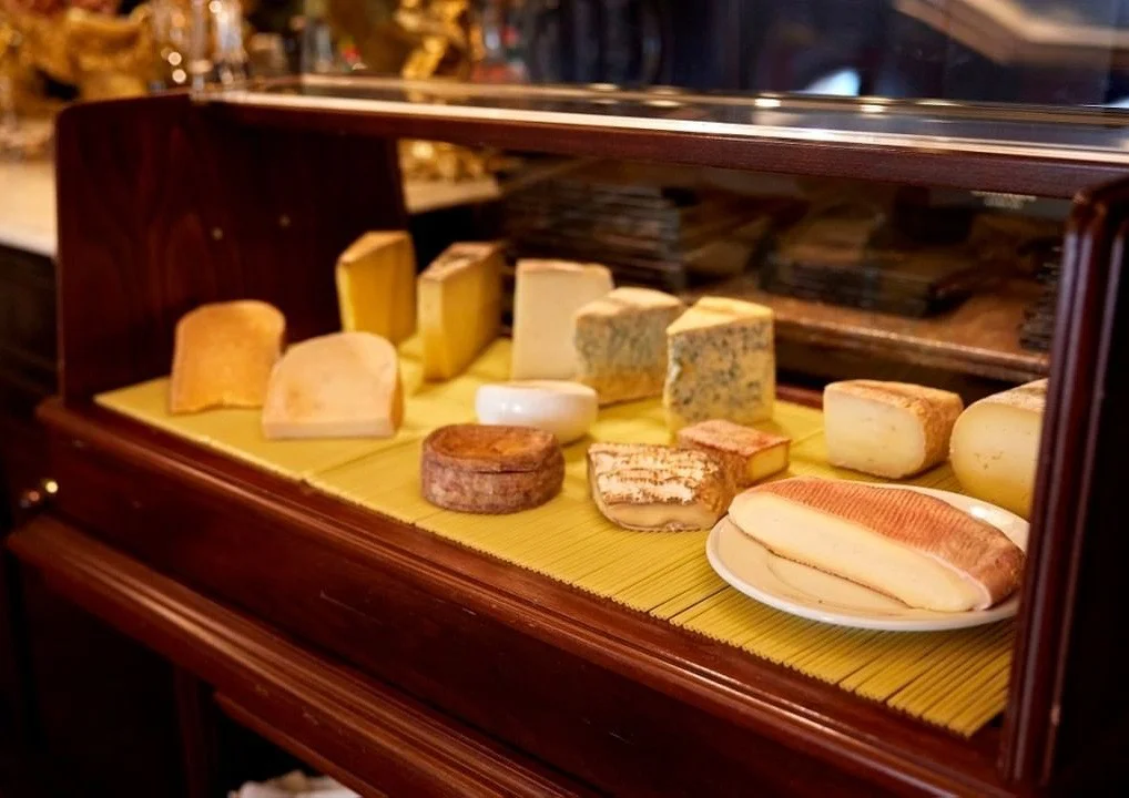 331018823 3426382831014274 4495302758076478137 N 01