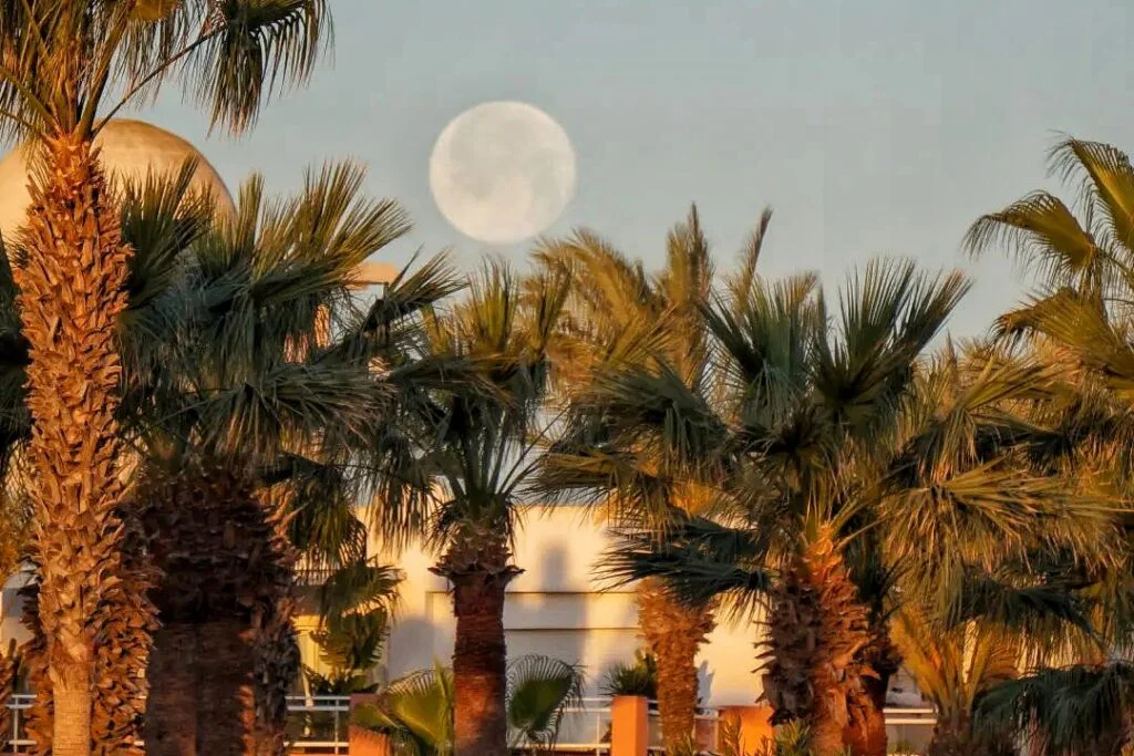 Los 10 pueblos más bonitos de Almería: descubre su encanto Los pueblos mas bonitos de Almeria. Pueblos con encanto y que ver en Almería.