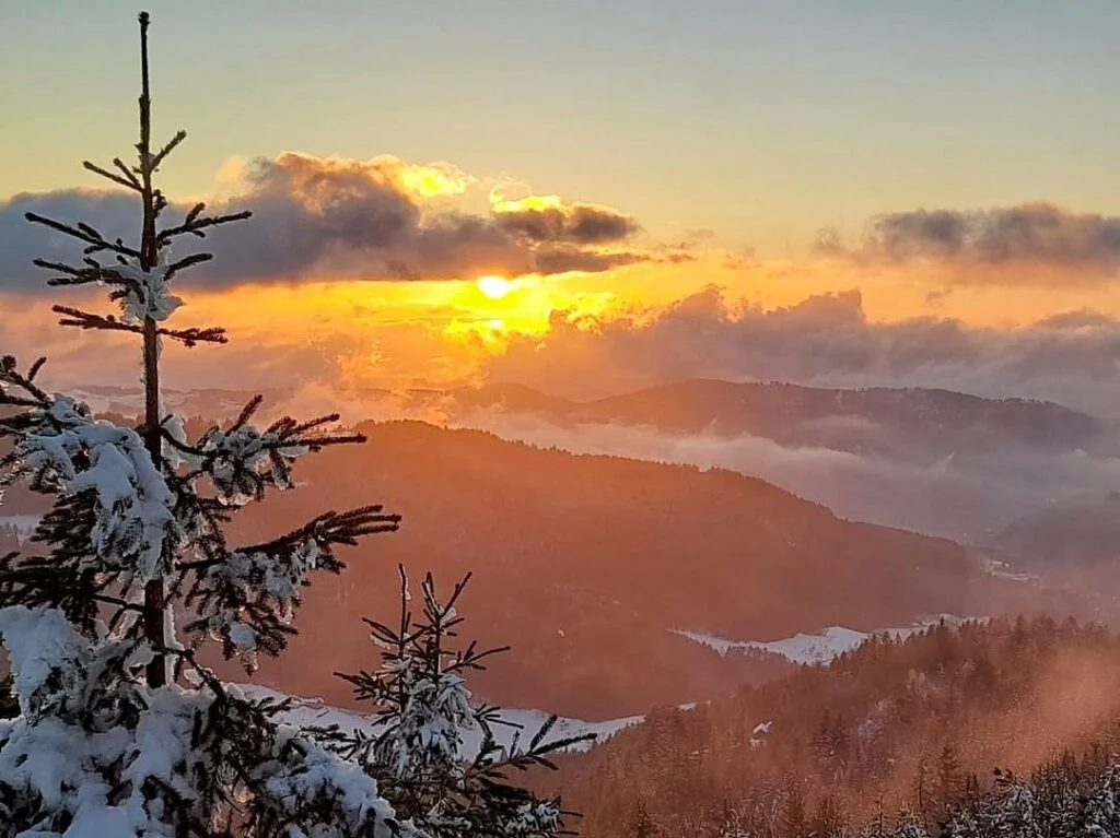 Carretera panorámica Schwarzwaldhochstraße Selva Negra con vistas montañas