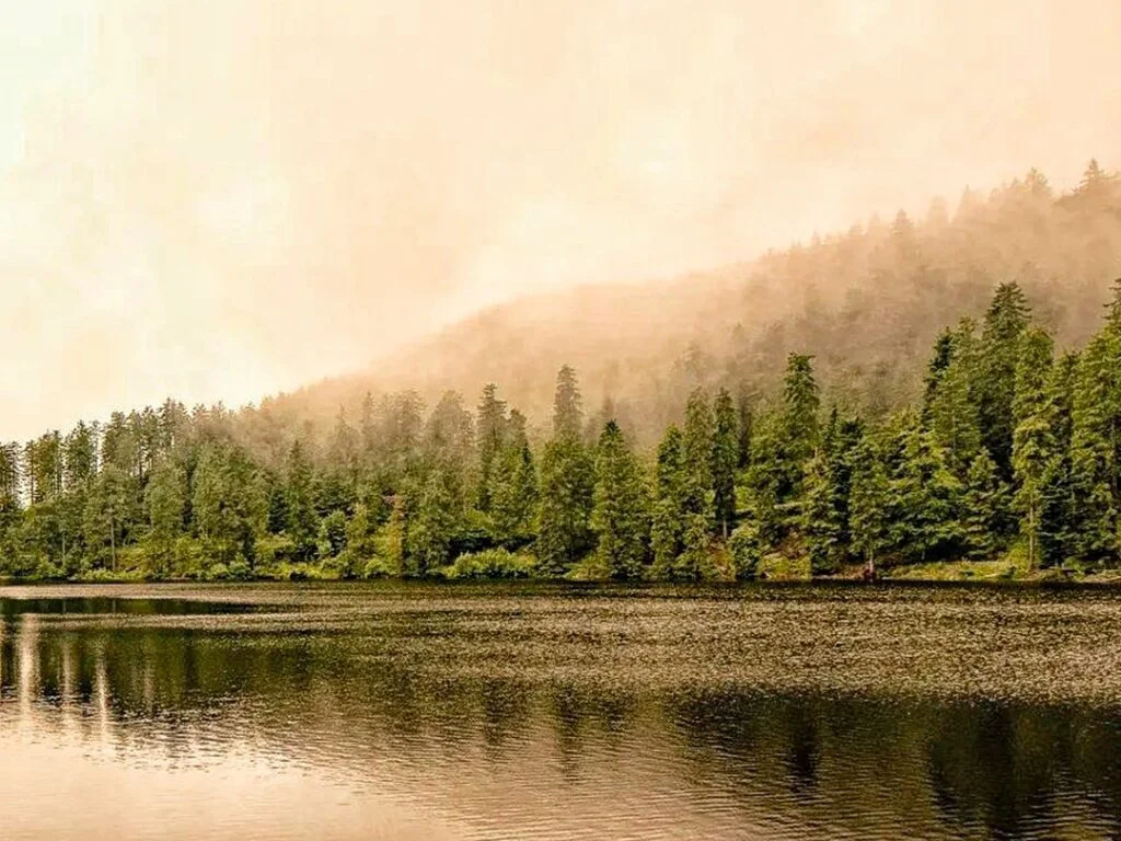 Lago Mummelsee rodeado de bosque en la Schwarzwaldhochstraße