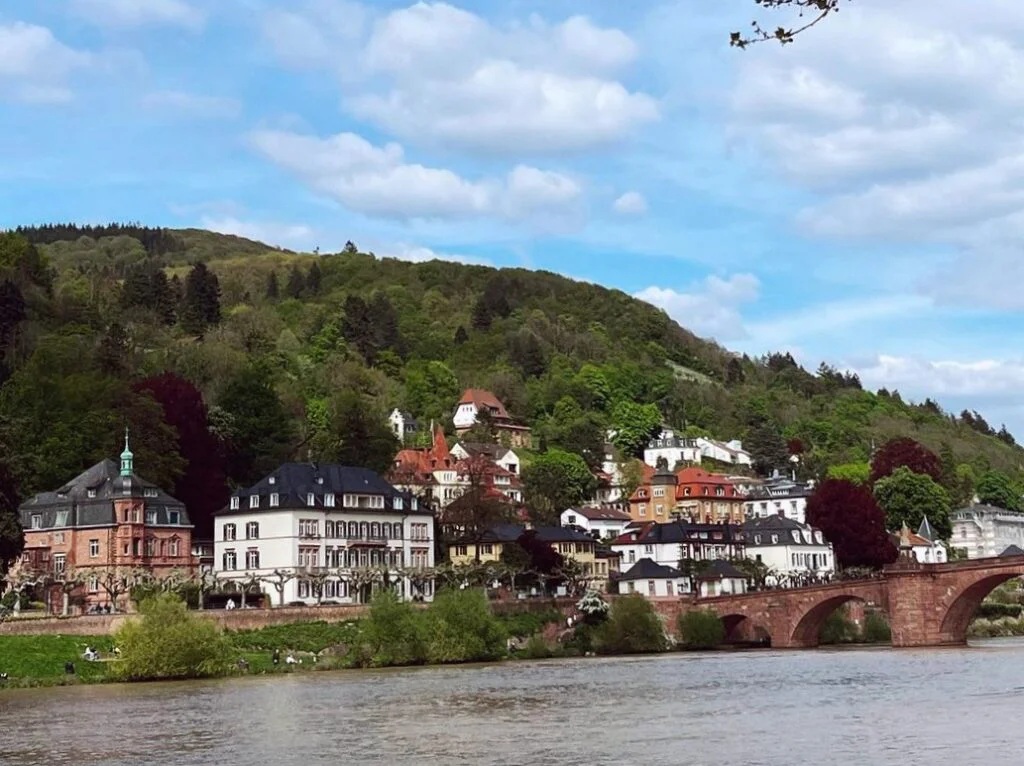 344030505 1251714135741248 7371513245992281920 N 01 1024x766