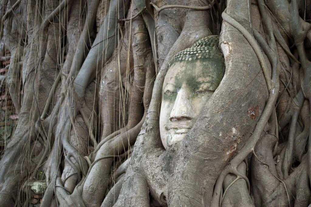 Buddha Head 1715936 1280 1024x682