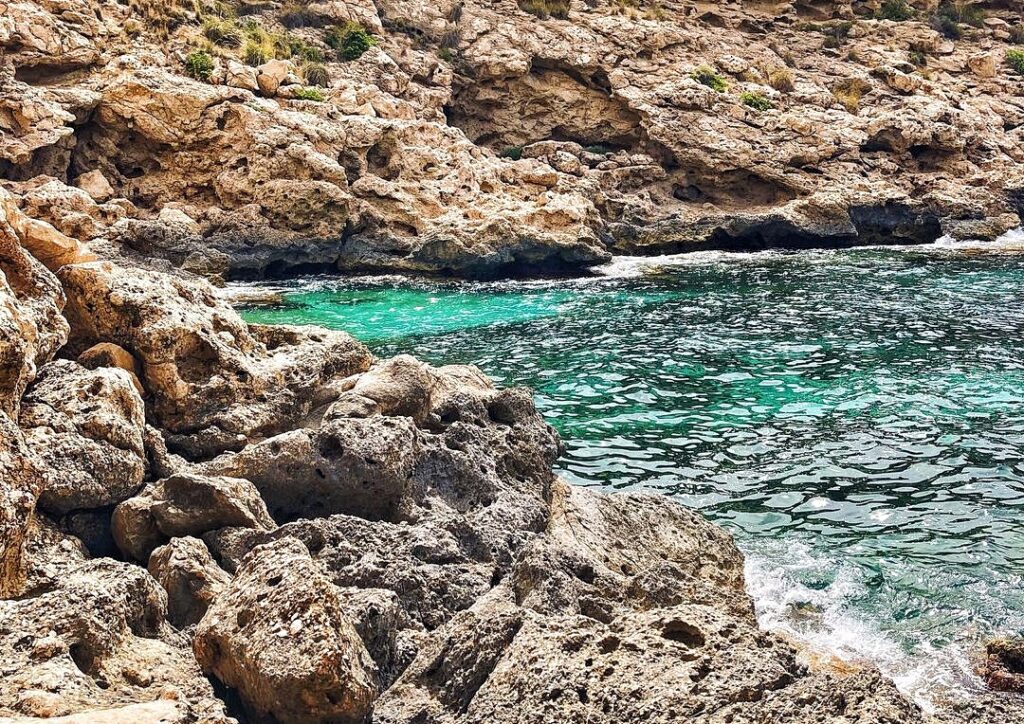 288329441 1177824739456236 3212175768843060804 N 01 1024x724