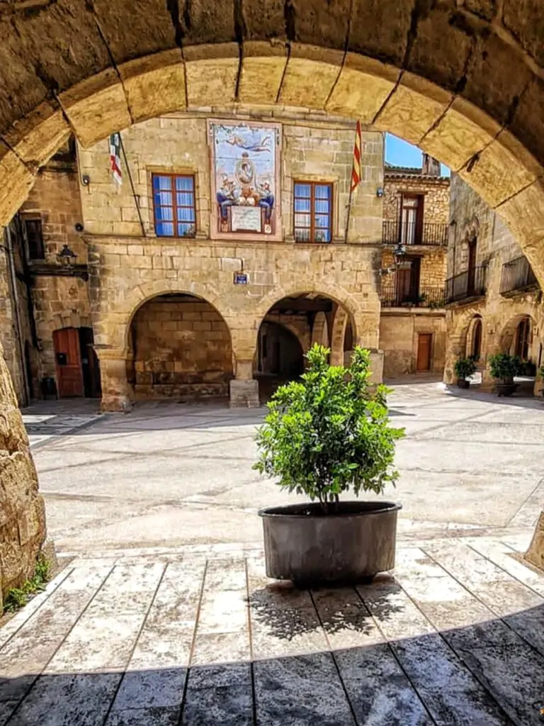 Snapinsta.app 419019609 266346916466625 385947901583234214 N 1080 01 768x1024