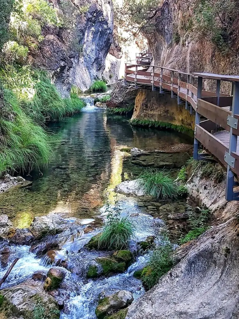 1706918512470 01 769x1024