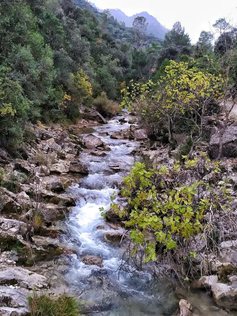 1706918582923 01 769x1024