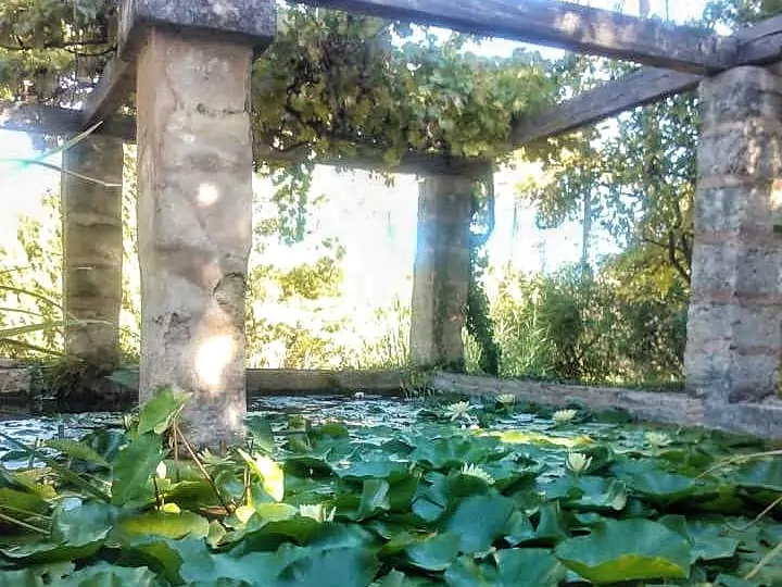 Qué ver en Sóller: 10 lugares imprescindibles 1707037194886 01